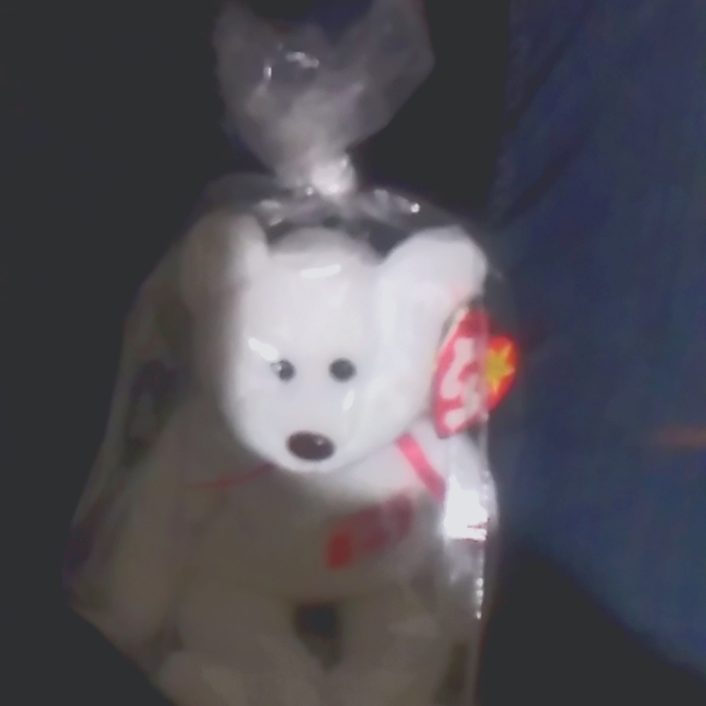 Maple the bear from canda